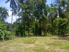 Land for sale in yakkala / UP 12441