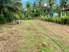 Land for Sale in Yanthampalawa, Kurunegala