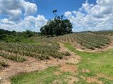Land for Sale in Yatawathura