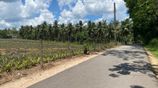 Land for Sale in Yatawathura