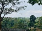 Land for Sale in Yatiyanthota