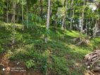 Land for Sale in Yatiyanthota