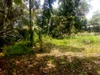 Land for Sale in Yogodamulla