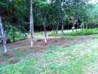 Land for Sale Ingiriya