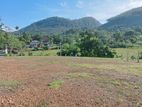 Land for Sale Ingiriya