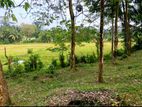 Land for Sale Ingiriya