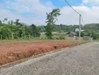Land for Sale Ingiriya