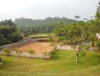 Land for Sale Ingiriya