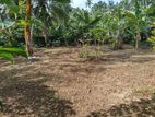 Land for Sale Ingiriya Horana