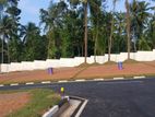 Land for Sale Invest Today Kadawatha, kirillawala