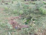 Land for Sale - Kilinochi