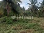 Land for Sale Ja Ela