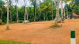 Land for Sale Ja Ela