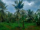 Land for Sale Ja Ela