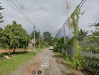 Land | for Sale Ja Ela Property ID - L3369