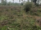 Land for Sale – Ja-Ela, Sri Lanka