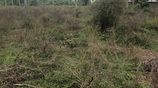 Land for Sale – Ja-Ela, Sri Lanka