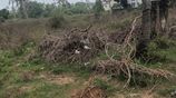 Land for Sale – Ja-Ela, Sri Lanka