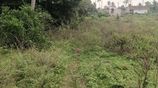 Land for Sale – Ja-Ela, Sri Lanka