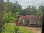 Land for Sale Ja Ela - Weligampitiya