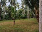 Land for Sale Ja - Ela Weligampitiya Hettigama