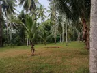 Land for Sale Ja - Ela Weligampitiya Hettigama