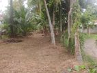 Land for Sale - Ja Ela Bopitiya