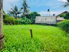Land for Sale Jaela