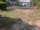 Land for sale jaela town