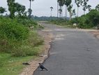 Land for Sale in Vaddukoddai