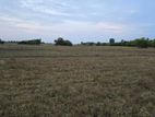 Land for Sale Jaffna