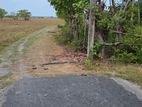 Land for Sale Jaffna
