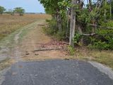 Land for Sale Jaffna