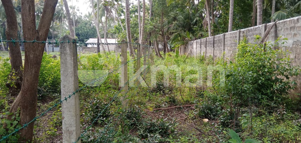 Land for Sale Jaffna Achuveli ikman