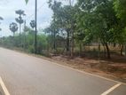 Land for Sale Jaffna