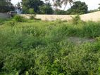 land for sale jaffna