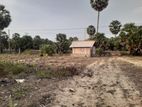 Land for Sale Jaffna