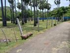 Land for Sale Jaffna