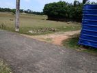 Land for Sale Jaffna