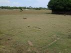 Land for Sale Jaffna