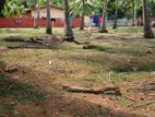 Land for Sale Jaffna