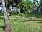 Land for Sale Jaffna