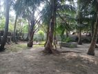 Land for Sale Jaffna