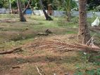 Land for Sale Jaffna