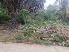 Land for Sale Jaffna