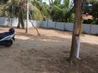 Land for Sale Jaffna