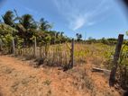 Land for Sale Jaffna