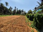 Land for Sale Jaffna