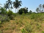 Land for Sale Jaffna, Myliddy