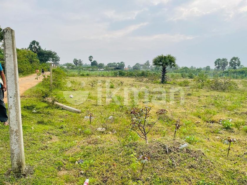 land for sale Jaffna (pariyavellaan ikman